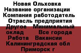 Новая Ольховка › Название организации ­ Компания-работодатель › Отрасль предприятия ­ Другое › Минимальный оклад ­ 1 - Все города Работа » Вакансии   . Калининградская обл.,Приморск г.